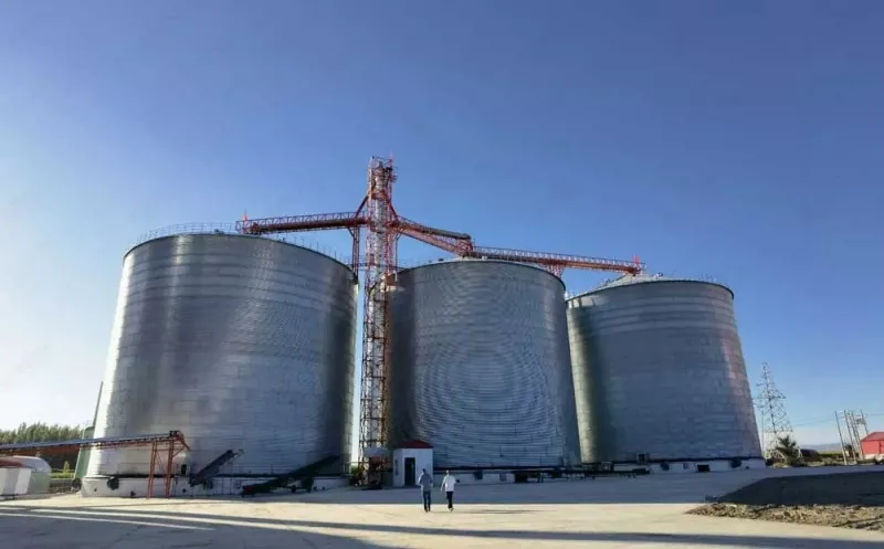 Steel Structure Grain Silo